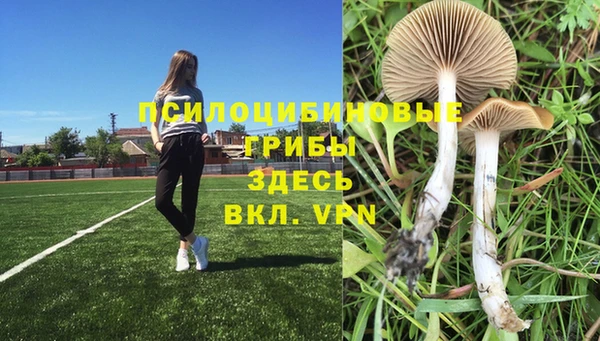 скорость Верхний Тагил
