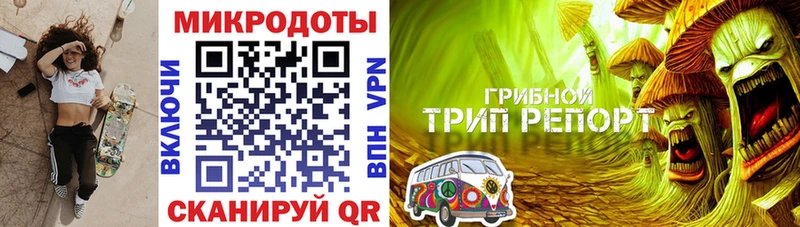 блэк спрут как зайти  Чебоксары  Галлюциногенные грибы прущие грибы 